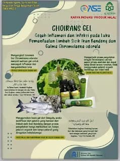 Juara Harapan 3 Nasional "Olimpiade Agama, Sains dan Riset Perguruan Tinggi Keagamaan Islam (OASE PTKI) I dalam Lomba Bidang Karya Inovasi Produk Halal dan Ketahanan Pangan UIN Ar-Raniry Banda Aceh"